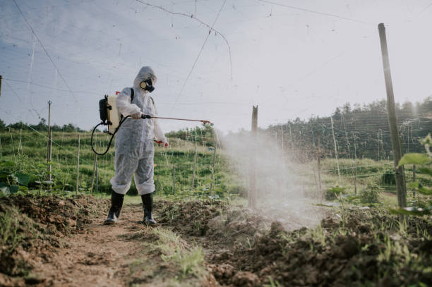Pest Prevention Services in Saline, MI