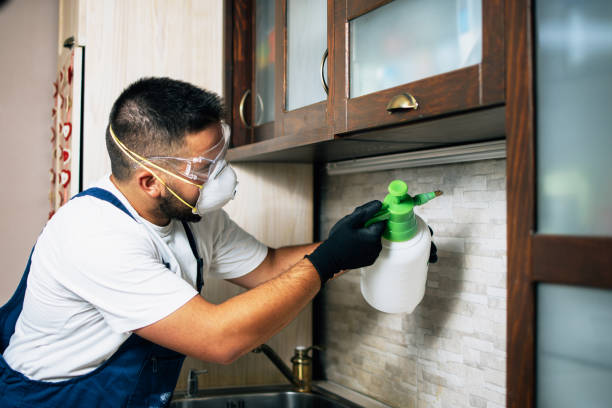 Best Bed Bug Extermination  in Saline, MI