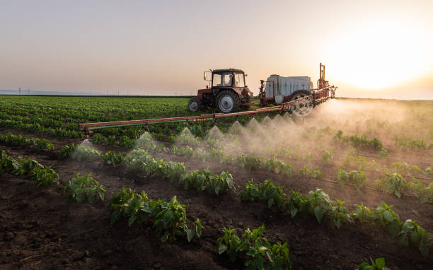 Best Insect Control  in Saline, MI