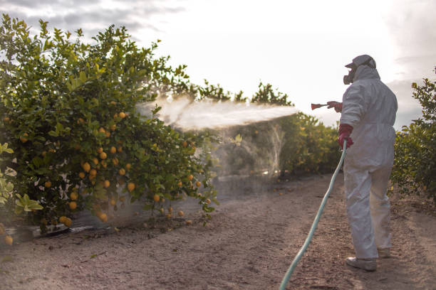 Best Pest Control Near Me  in Saline, MI