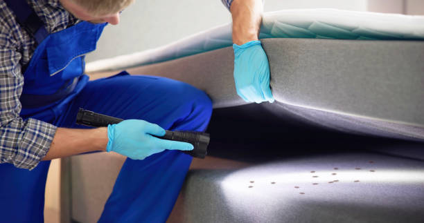 Best Best Pest Control Companies  in Saline, MI