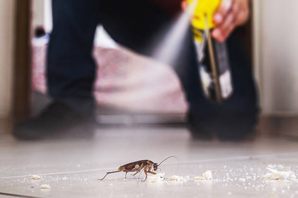 Best Wildlife Control Services  in Saline, MI