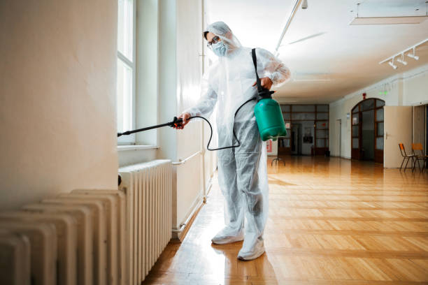 Best Local Pest Control Services  in Saline, MI