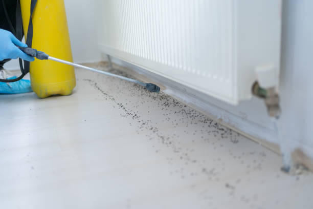 Professional Pest Control in Saline, MI