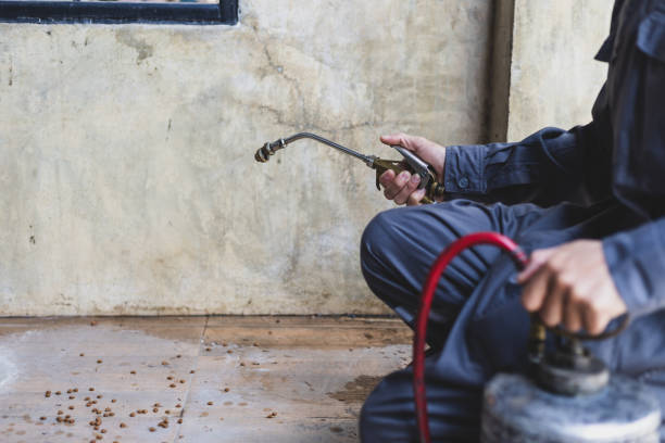 Best Mosquito Control Services  in Saline, MI
